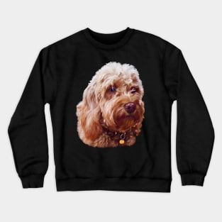 Cute Cavapoo Cavoodle puppy dog Face  - cavalier king charles spaniel poodle, puppy love Crewneck Sweatshirt